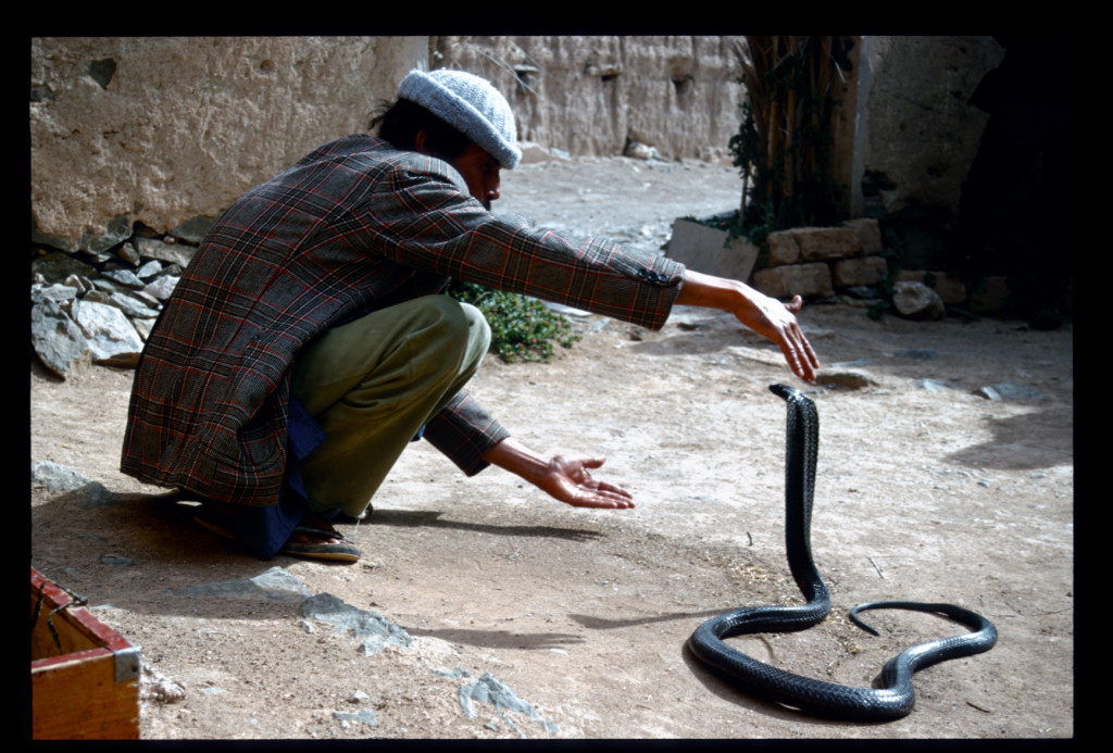 2001_Morocco Snake charmer series